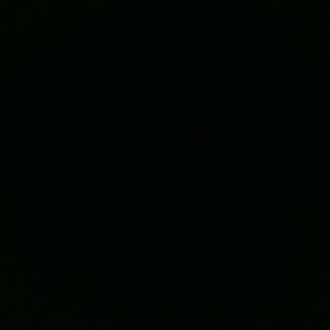 Meet your Posher, Florine